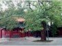 September 25th - Visit to the Yonghegong Lama Temple